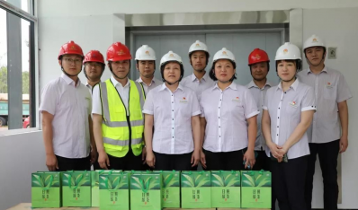 350vip8888ϵľչ徲